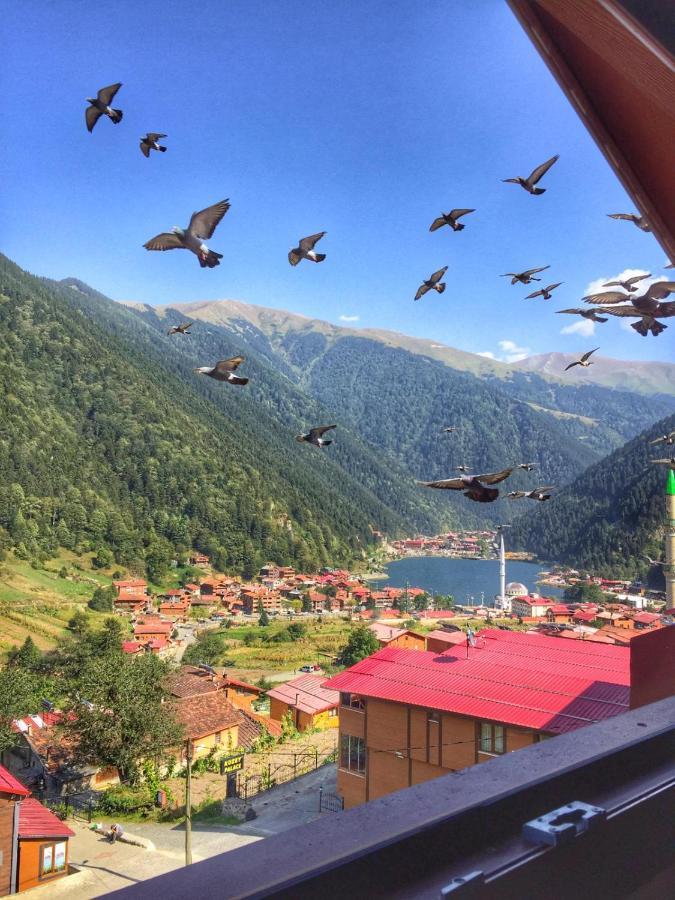 Ozbek Apart Otel Uzungöl